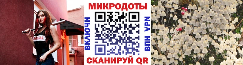 Псилоцибиновые грибы мухоморы  мега сайт  Славгород 